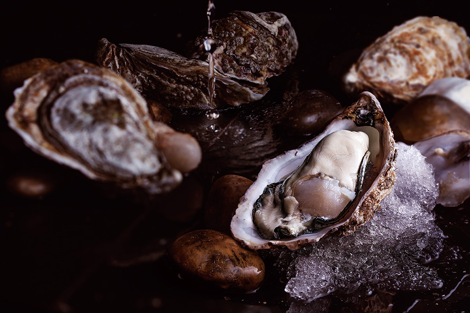 千歲融合，日本壽司+法式鐵板燒，北辰品牌設(shè)計(jì)