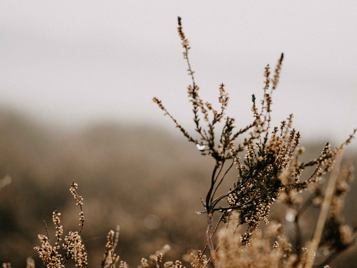 深圳平面設(shè)計 深圳平面設(shè)計