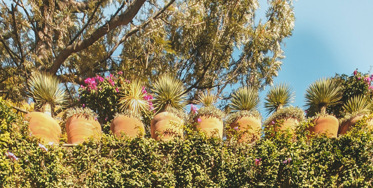 深圳品牌設(shè)計 深圳品牌設(shè)計