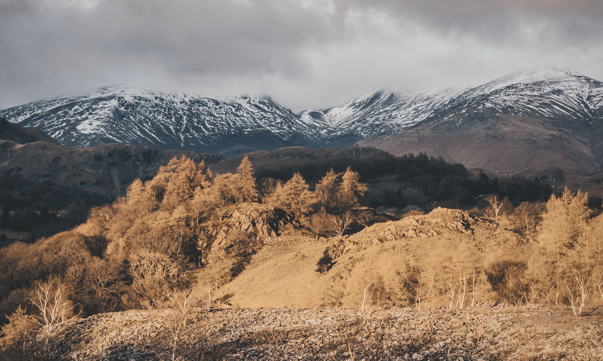 品牌策劃設(shè)計公司 品牌策劃設(shè)計公司