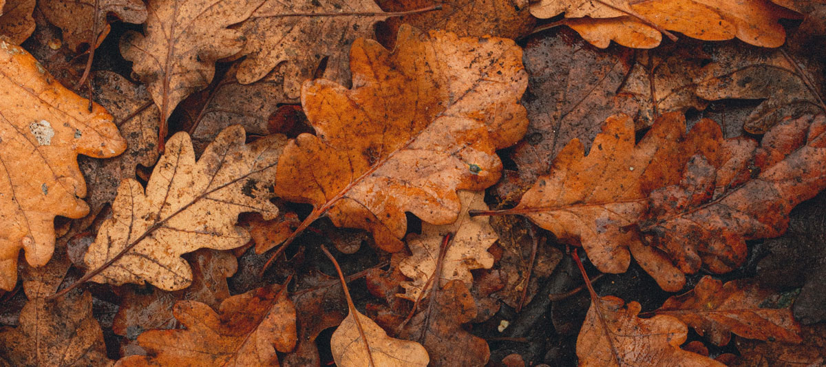 餐飲品牌形象設(shè)計(jì)公司 餐飲品牌形象設(shè)計(jì)公司