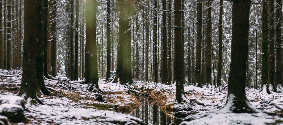 快消品包裝設(shè)計公司