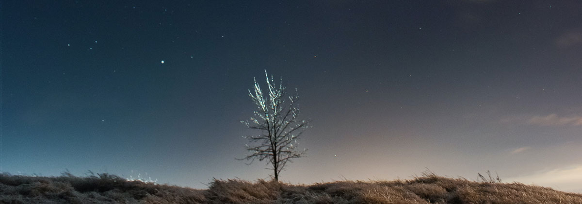 品牌設(shè)計公司 品牌設(shè)計公司