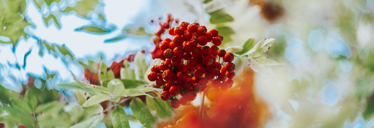 深圳包裝設(shè)計(jì)公司