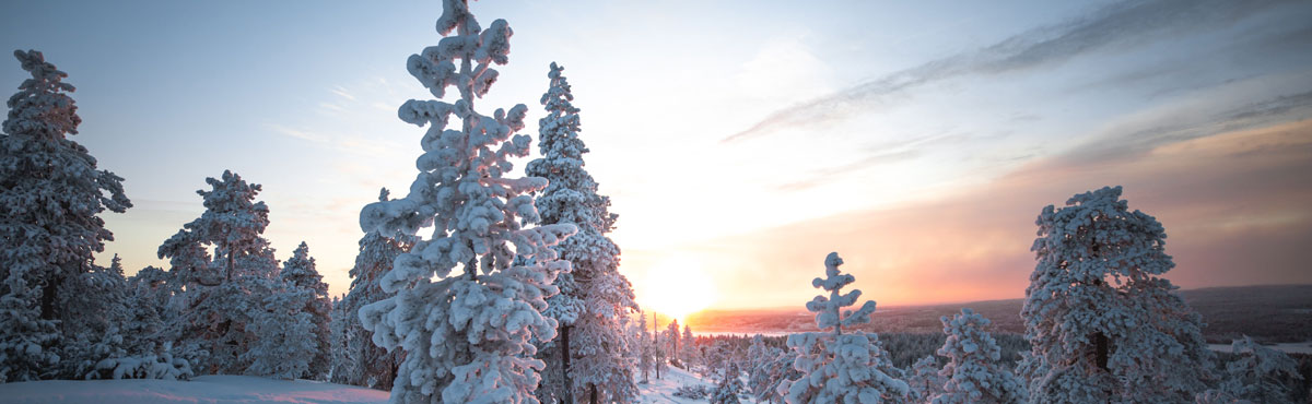 品牌全案設(shè)計(jì)公司