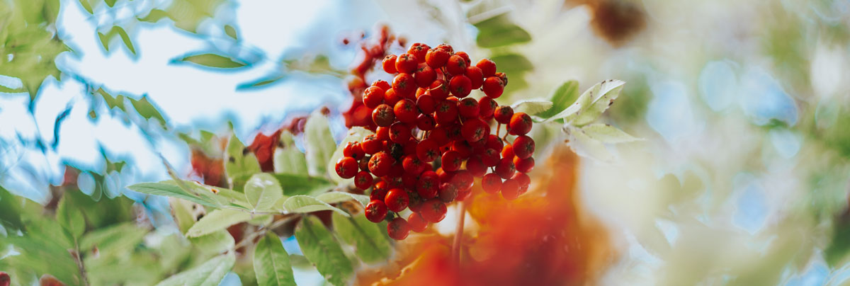 深圳平面設(shè)計公司 深圳平面設(shè)計公司