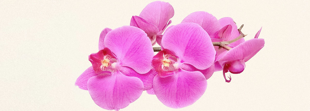 深圳食品包裝設(shè)計 深圳食品包裝設(shè)計