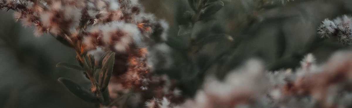 品牌策略全案設(shè)計(jì) 品牌策略全案設(shè)計(jì)