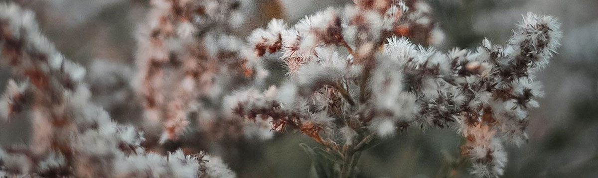 品牌策劃設(shè)計(jì)公司 品牌策劃設(shè)計(jì)公司