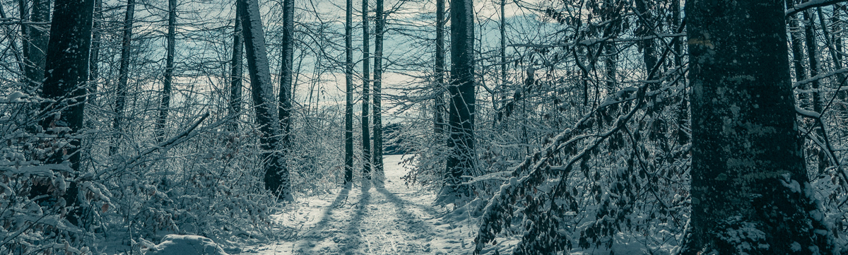 品牌策劃設(shè)計公司 品牌策劃設(shè)計公司