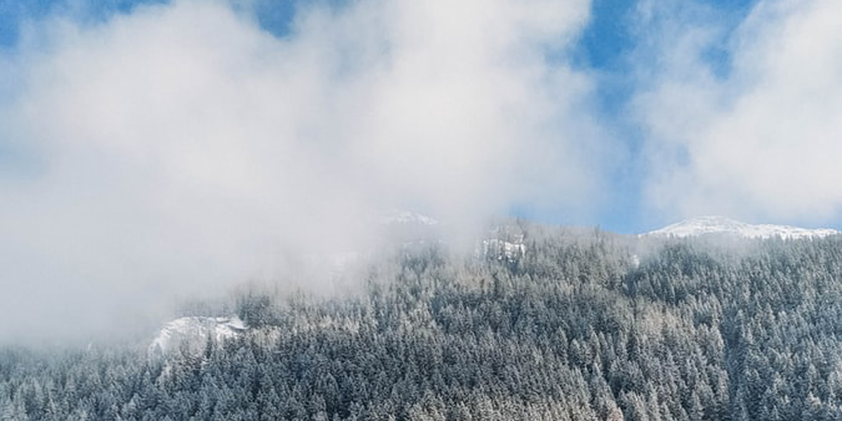 品牌策略全案設(shè)計(jì) 品牌策略全案設(shè)計(jì)