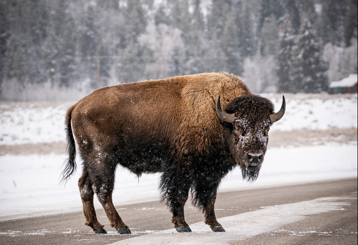 品牌設(shè)計公司