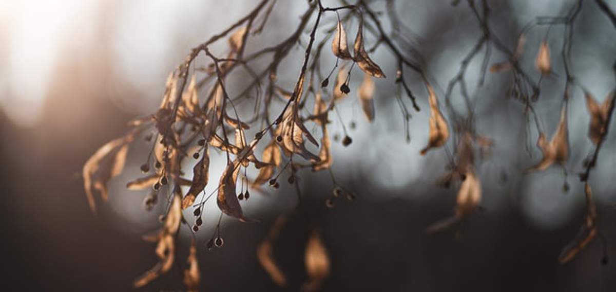 深圳品牌設(shè)計(jì) 深圳品牌設(shè)計(jì)